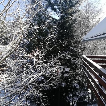 Gite Le Chalet Saintantheme / Praboure Exterior foto