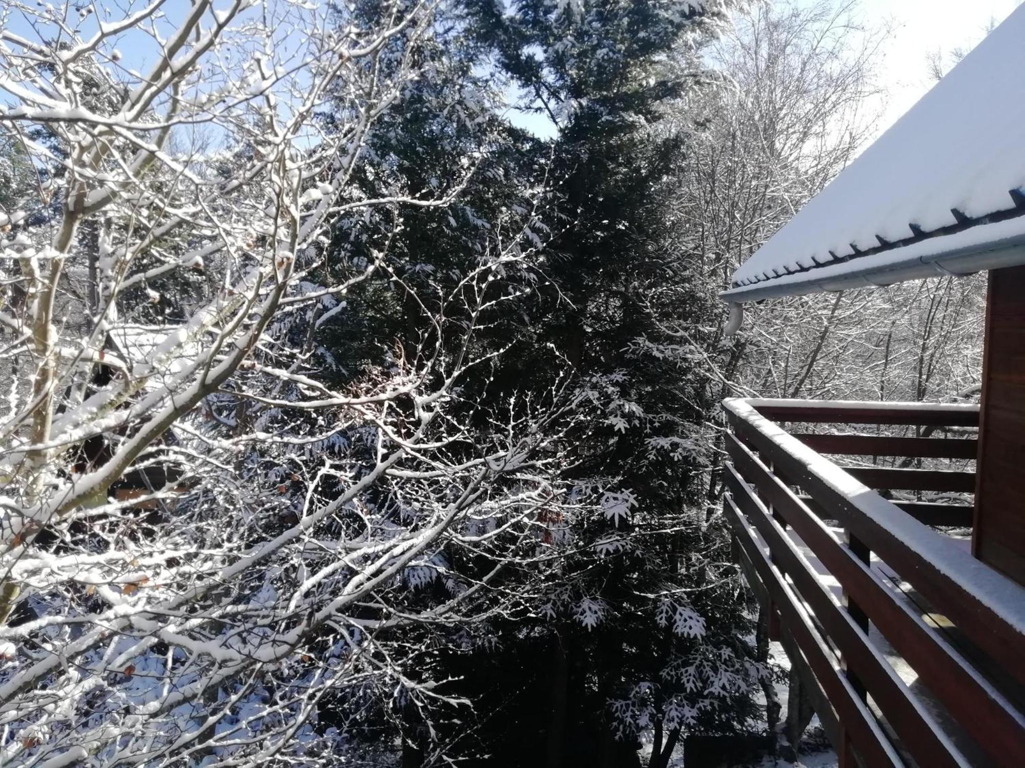Gite Le Chalet Saintantheme / Praboure Exterior foto